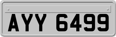 AYY6499