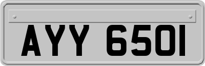 AYY6501