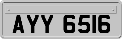 AYY6516