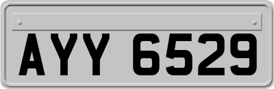 AYY6529