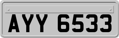 AYY6533