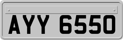 AYY6550