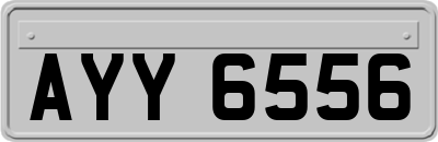 AYY6556