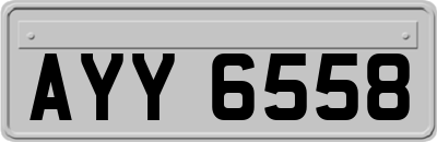 AYY6558