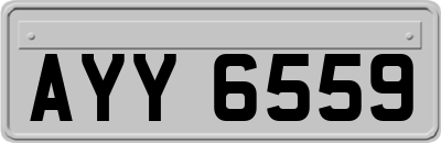 AYY6559