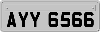 AYY6566
