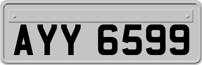 AYY6599