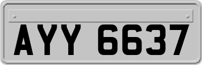 AYY6637