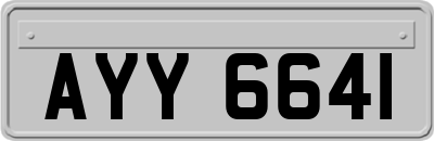 AYY6641