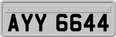 AYY6644