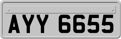 AYY6655