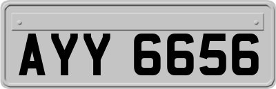 AYY6656