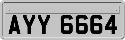 AYY6664