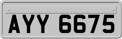 AYY6675