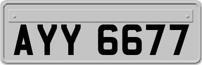 AYY6677