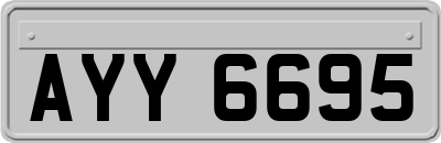 AYY6695
