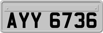 AYY6736