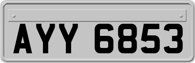 AYY6853