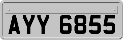 AYY6855