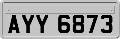 AYY6873