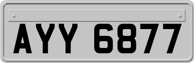 AYY6877