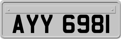 AYY6981