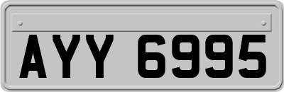 AYY6995