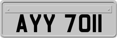 AYY7011