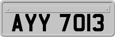 AYY7013