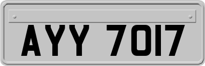 AYY7017