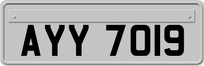 AYY7019