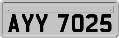 AYY7025