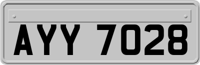AYY7028