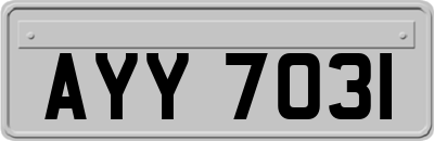 AYY7031