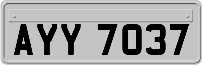 AYY7037
