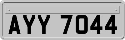 AYY7044