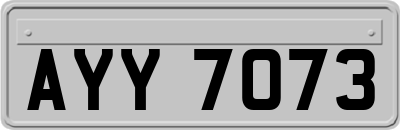 AYY7073