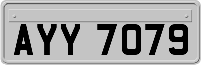 AYY7079