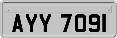 AYY7091