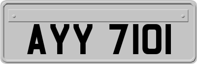AYY7101