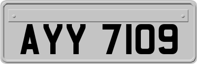 AYY7109