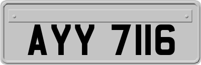 AYY7116