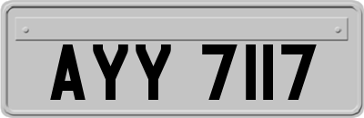 AYY7117