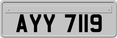 AYY7119