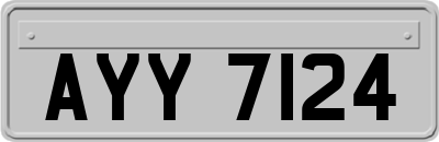 AYY7124