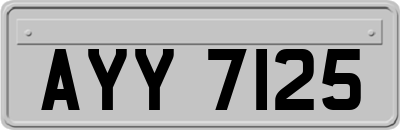 AYY7125
