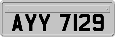 AYY7129