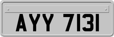 AYY7131