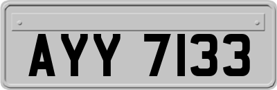 AYY7133