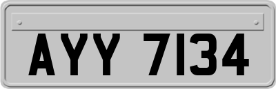 AYY7134